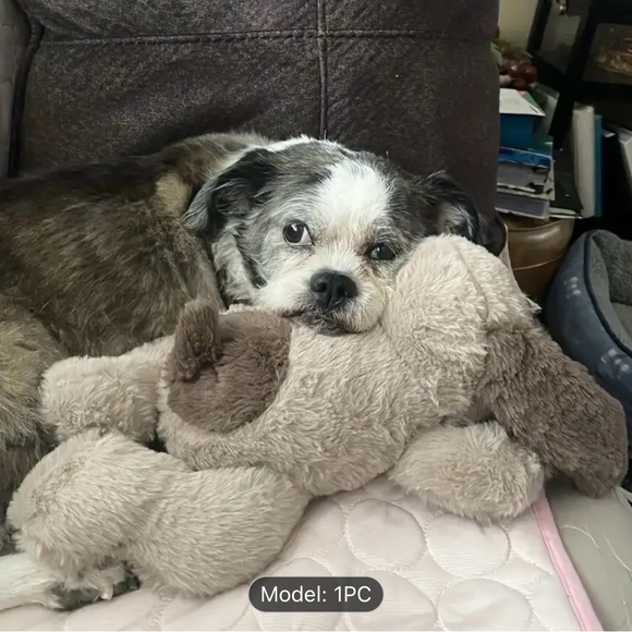 Behavioral Aid Toy - Brown - Picture 4 of 7